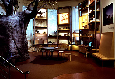 Discovery Room